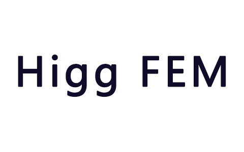 Higg FEM